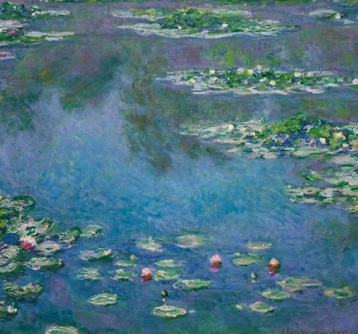 《睡莲》