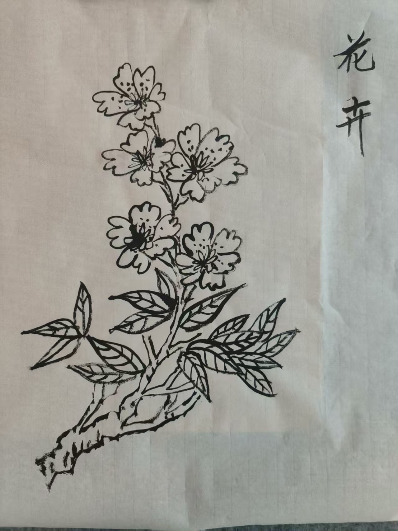 前曦同学的国画作品