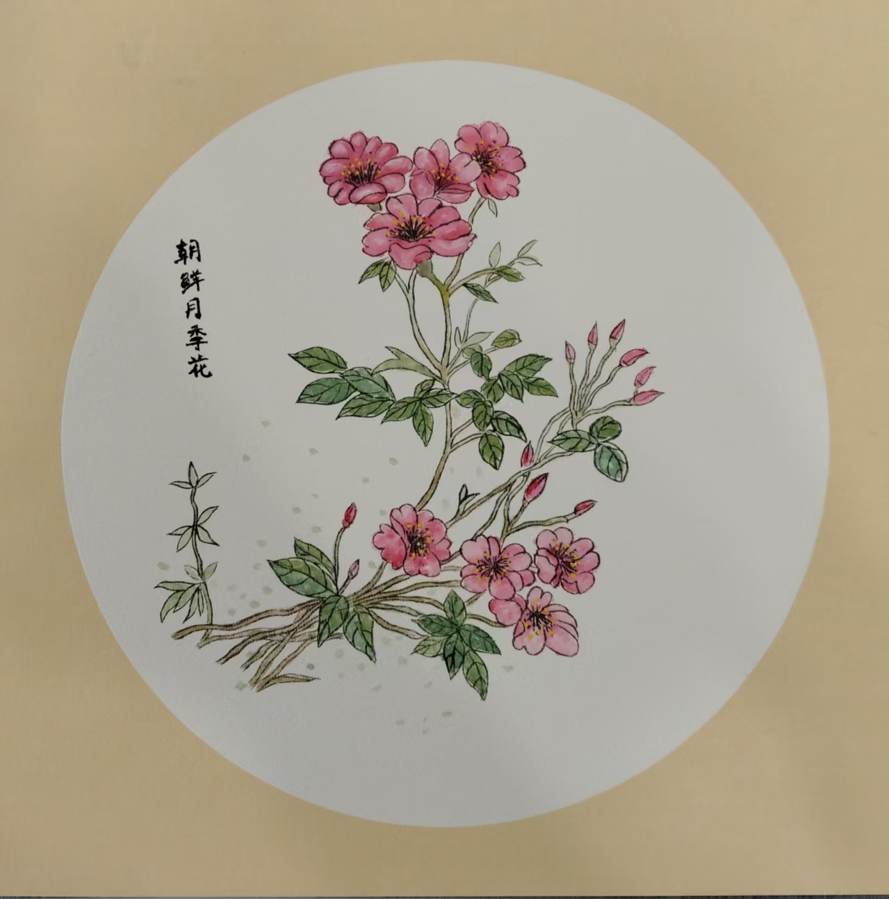 学员作品2