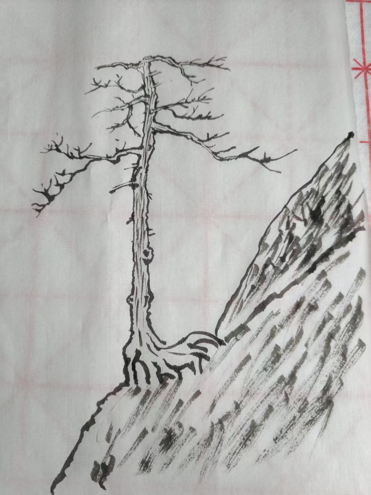 学员作品1
