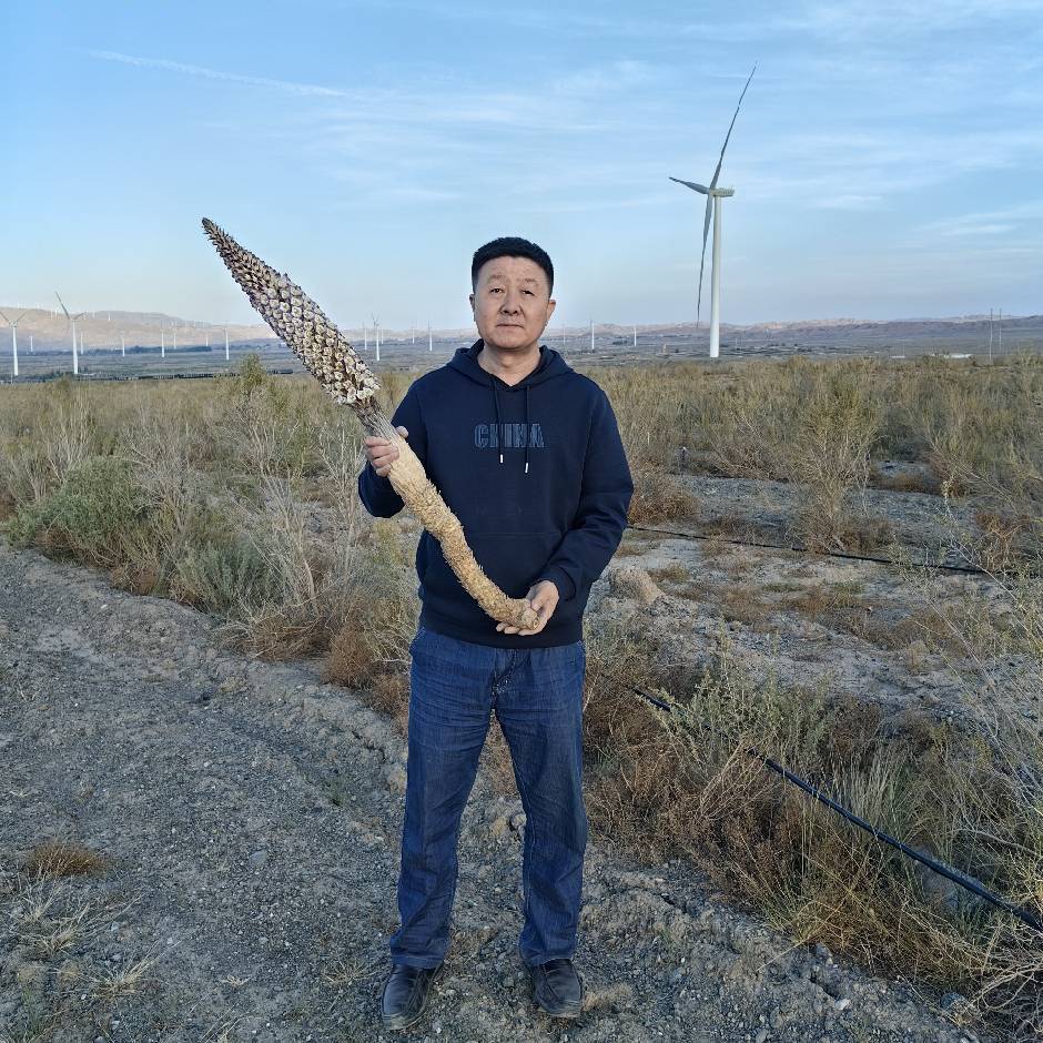贾存勤 博士