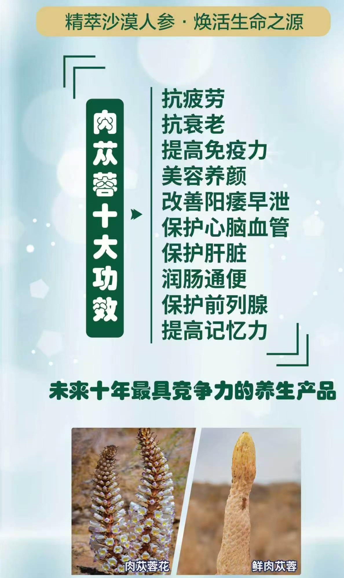 肉苁蓉